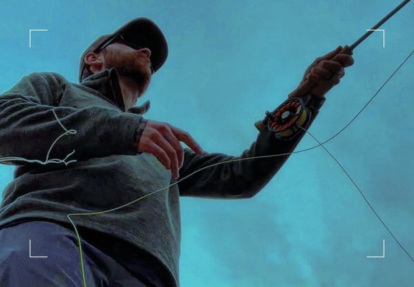 fly fisherman casting flies to trout