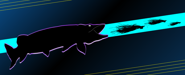 When fly fishing for muskie, northern pike, largemouth bass and smallmouth bass, are larger flies better for catching big fish? 