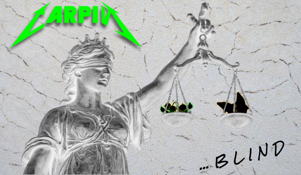 fly fishing for carp, blind casting for carp, denver south platte, woolly bugger, egan's chartreuse headstand