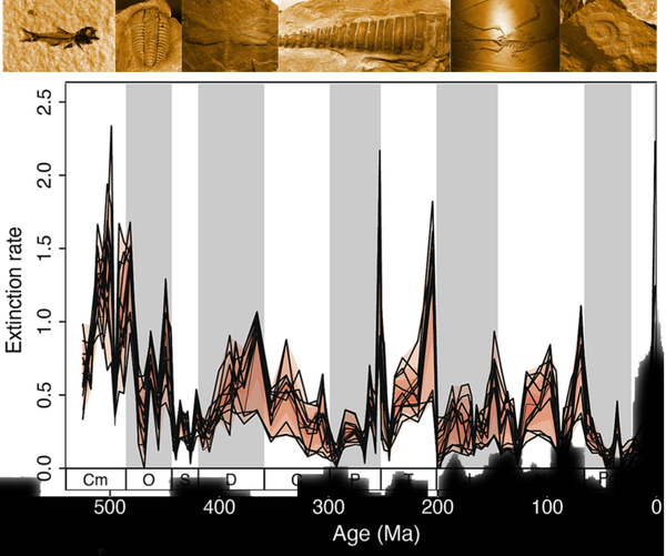 Conservation Concept: Extinction Panic Explained