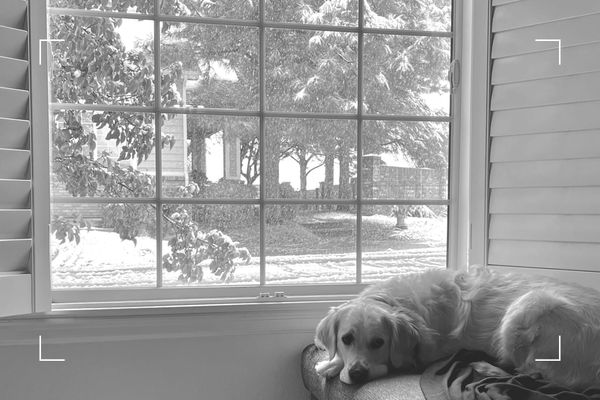 Offseason Selections: Read, Flip, Skip