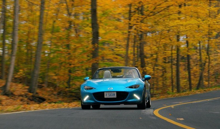 Slow down you crazy child