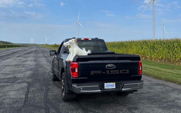 Canadian Drivers Suck