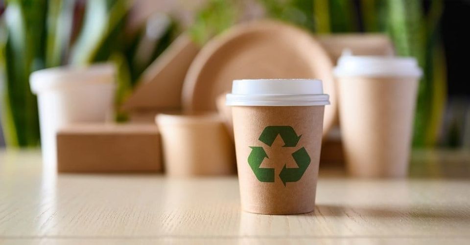 Packaging Expert Debunks Disposable Cup Myths, Only 1 In 400 Are Actually Recycled