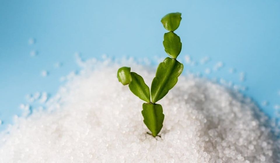 Changing Course: Applications and Standards of Biodegradable Polymers