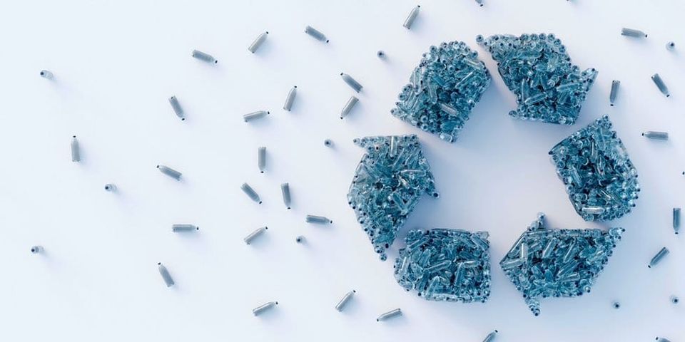 Creative business ideas for a sustainable future