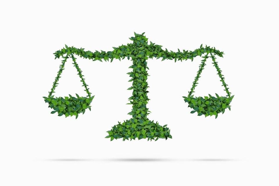 BPF Chemical Recycling event to explore legislation and carbon impact