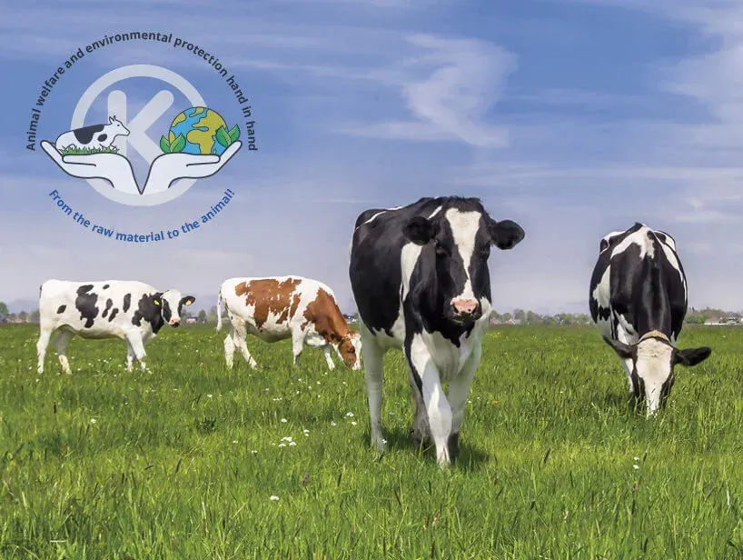 How rubber is improving animal welfare
