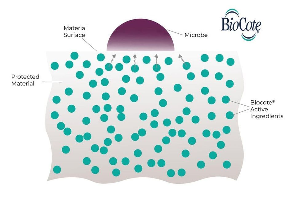 Enhancing plastics with antimicrobial technology