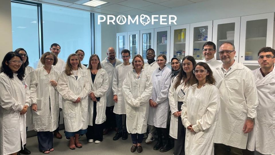 AIMPLAS coordinates the PROMOFER project