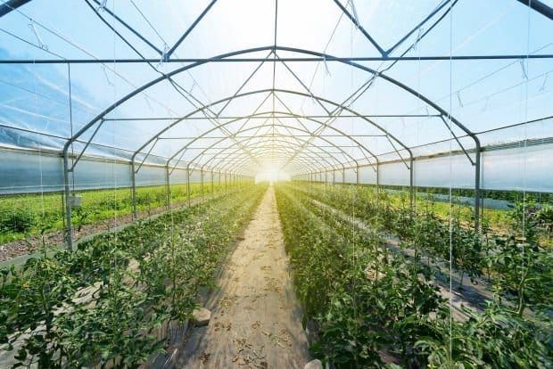 Polycarbonate production capacity expansion for Covestro
