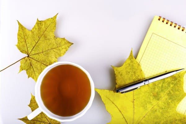 Autumn is the season of celebration