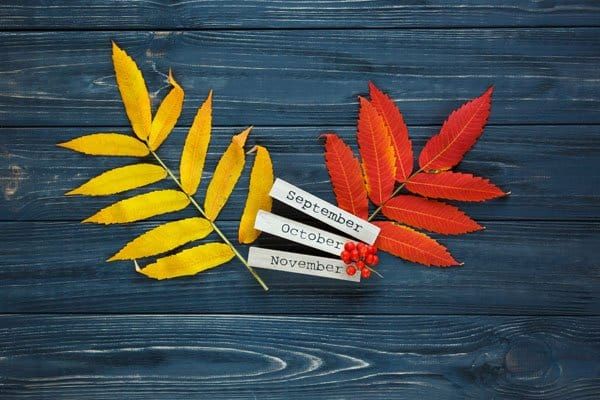 Autumn means more than just seasonal change for plastics industry