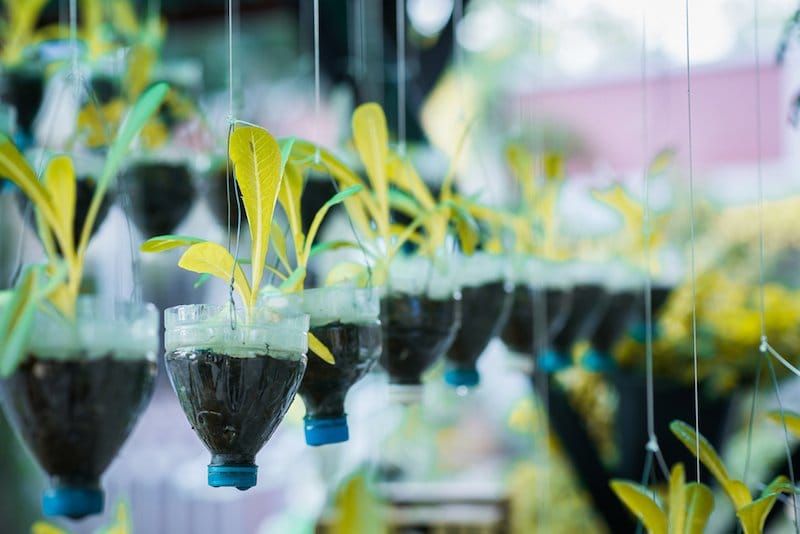 How does our plastic waste become plastic pollution?