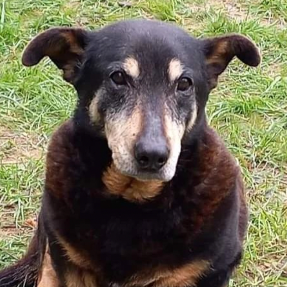 Some shitty news, some good news