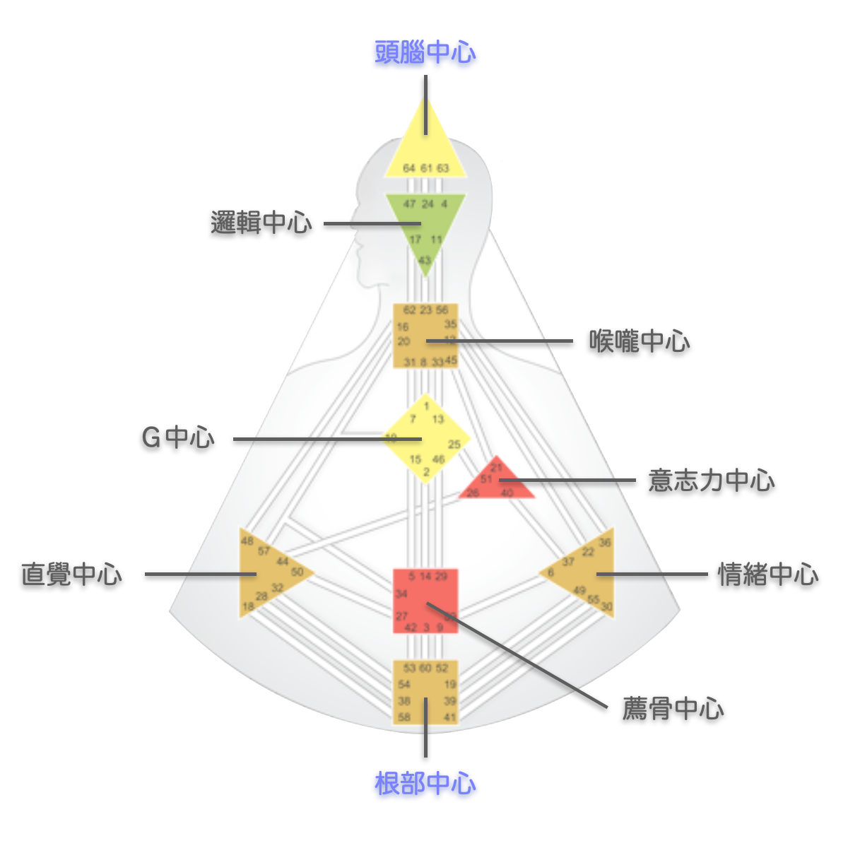 人類圖能量中心的壓力中心：頭腦中心與根部中心｜曼蒂人類圖