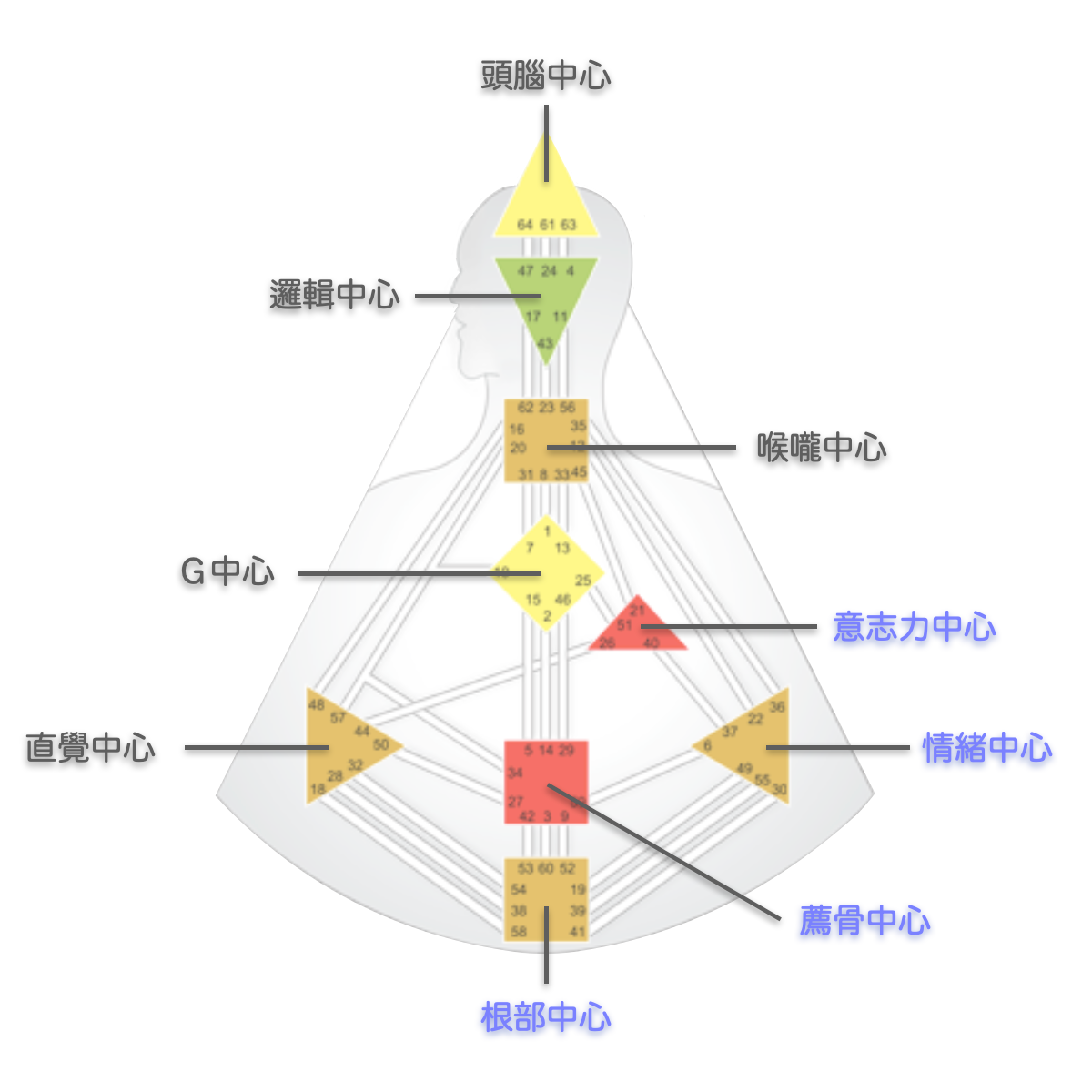 人類圖能量中心總共有四個動力中心，讓人充滿動力地追尋目標｜曼蒂人類圖