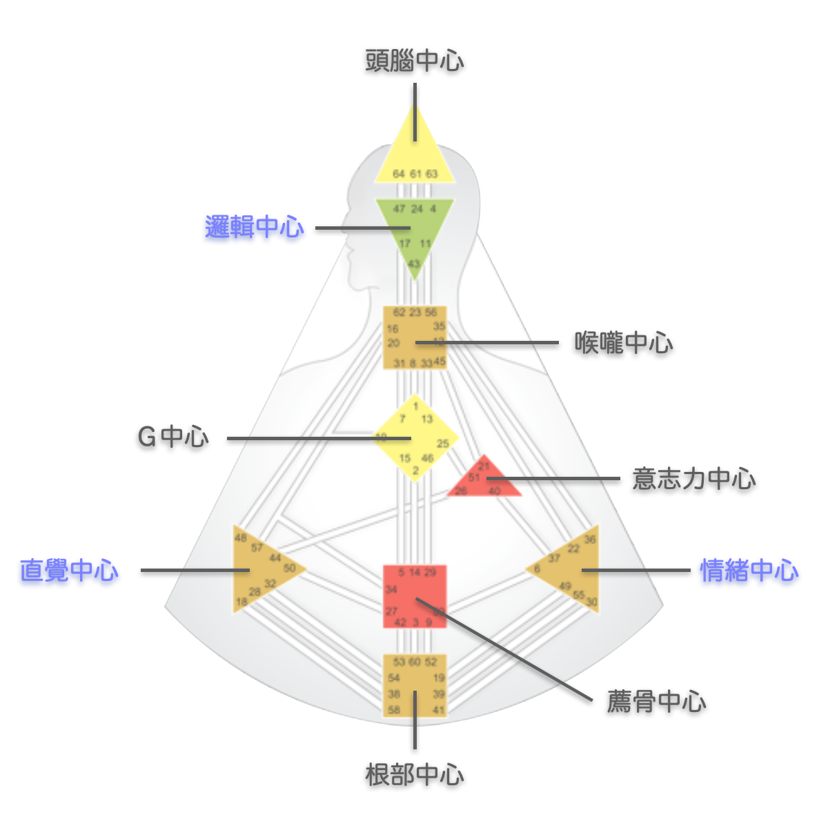 人類圖能量中心的覺察中心：情緒中心、邏輯中心、直覺中心｜曼蒂人類圖