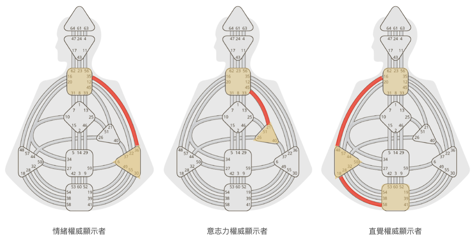人類圖顯示者可能出現的內在權威：情緒型權威、意志力型權威、直覺型權威｜曼蒂人類圖