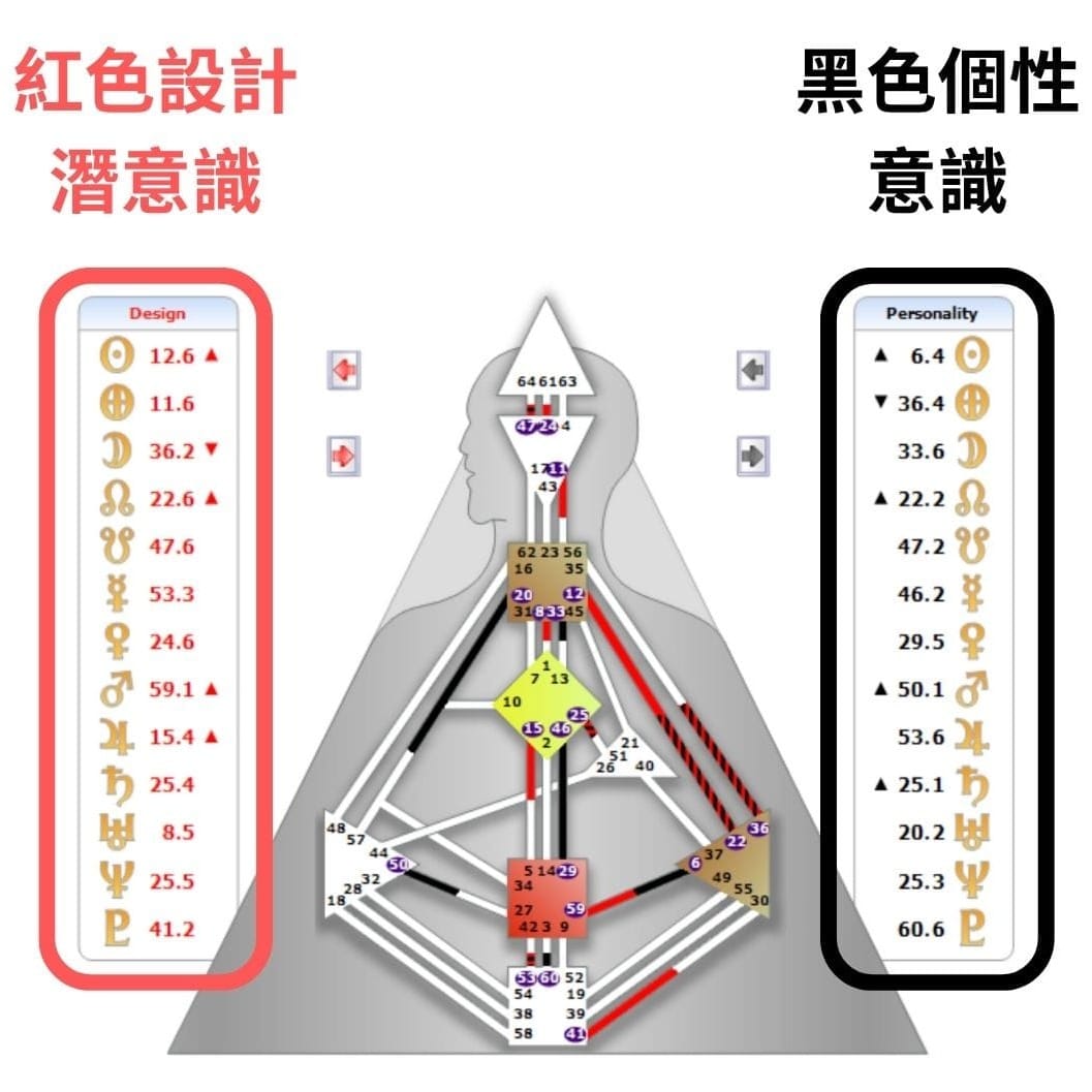 人類圖中意識層面是黑色的數字、黑色的線；潛意識層面是紅色的數字、紅色的線｜曼蒂人類圖