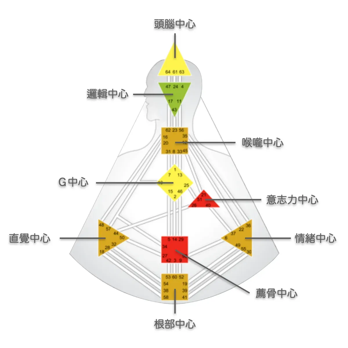 這是人類圖九大能量中心的位置|曼蒂人類圖