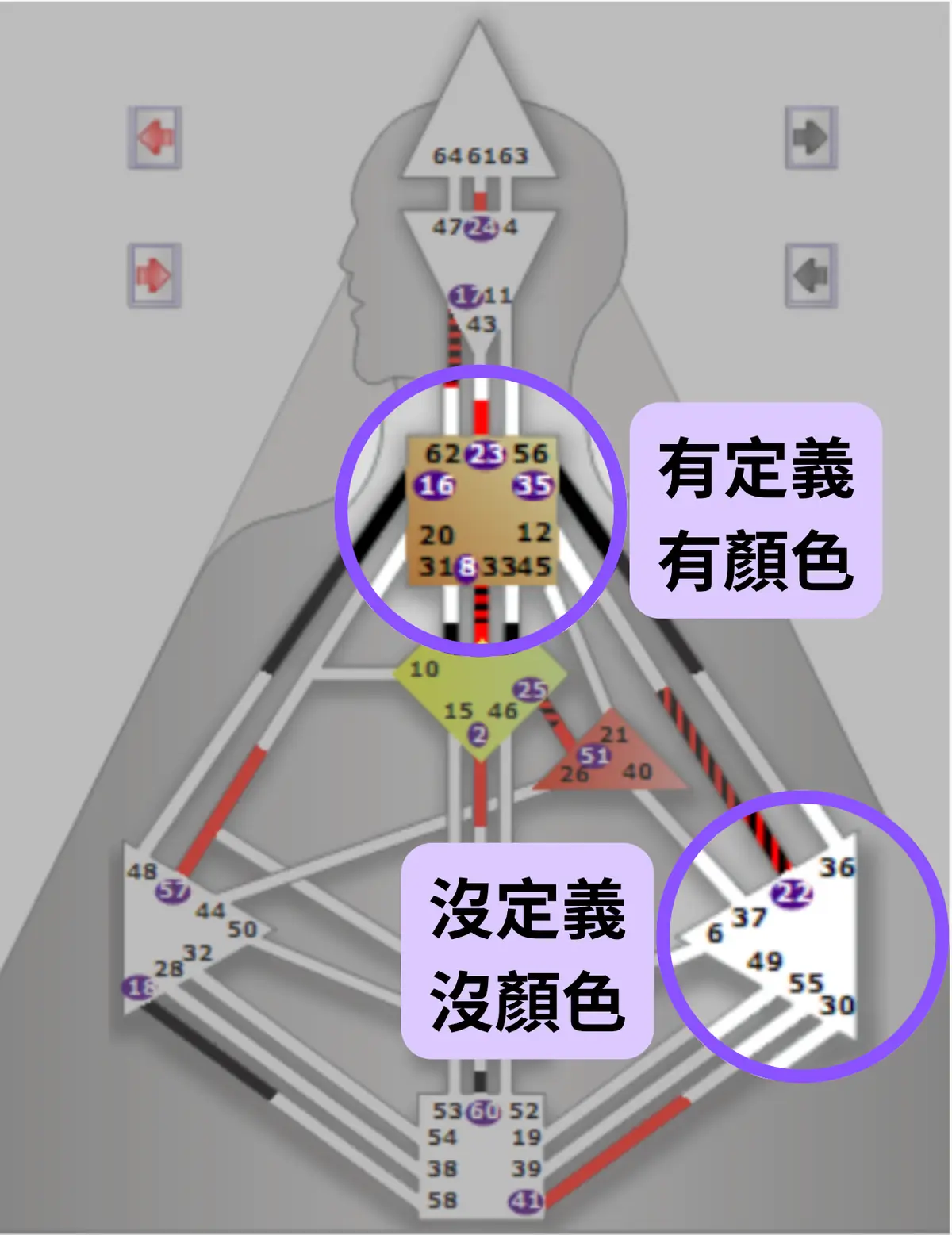 人類圖的定義:看你的人類圖能量如何分配與連接|曼蒂人類圖