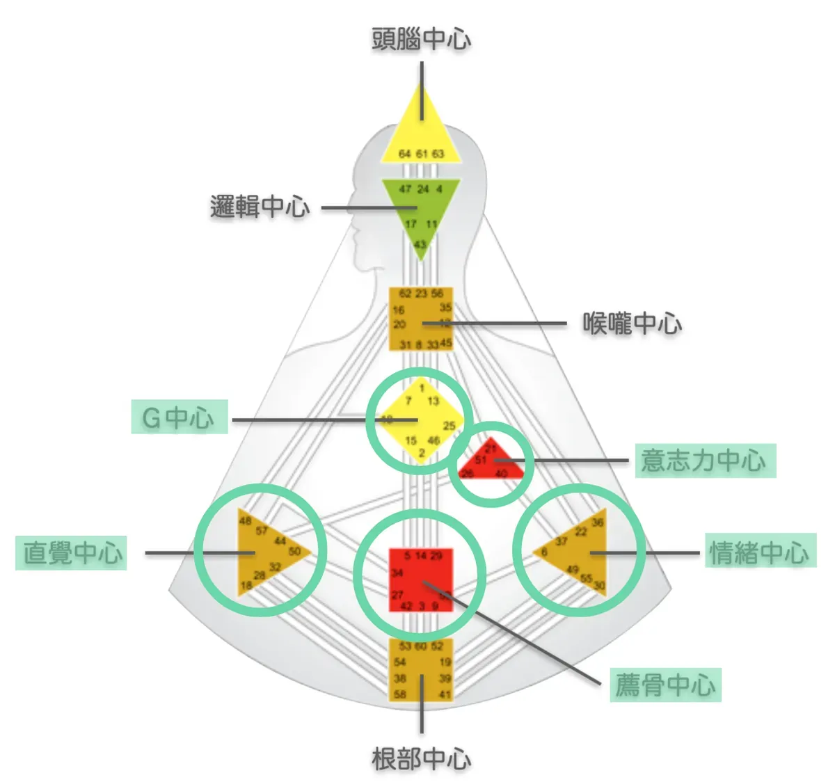 總共有 5 種內在權威:情緒型內在權威、薦骨型內在權威、直覺型內在權威、意志力型內在權威,以及自我投射型內在權威|曼蒂人類圖