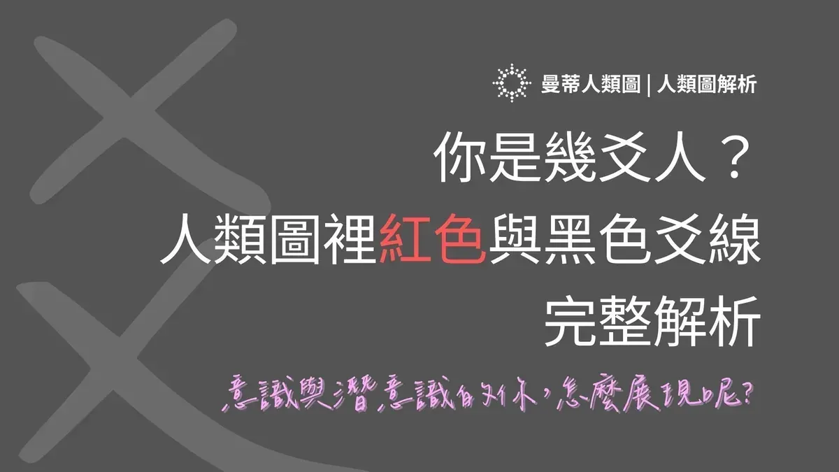 你是幾爻人？人類圖人生角色裡紅色與黑色爻線的完整解析｜曼蒂人類圖