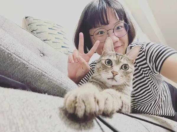 關於曼蒂人類圖的曼蒂