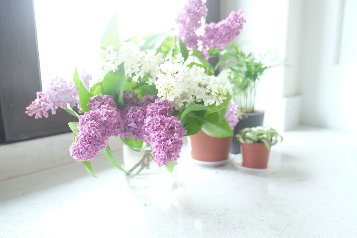 May gardens bloom