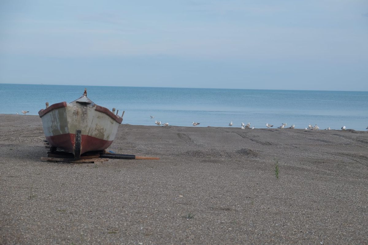 The Black Sea