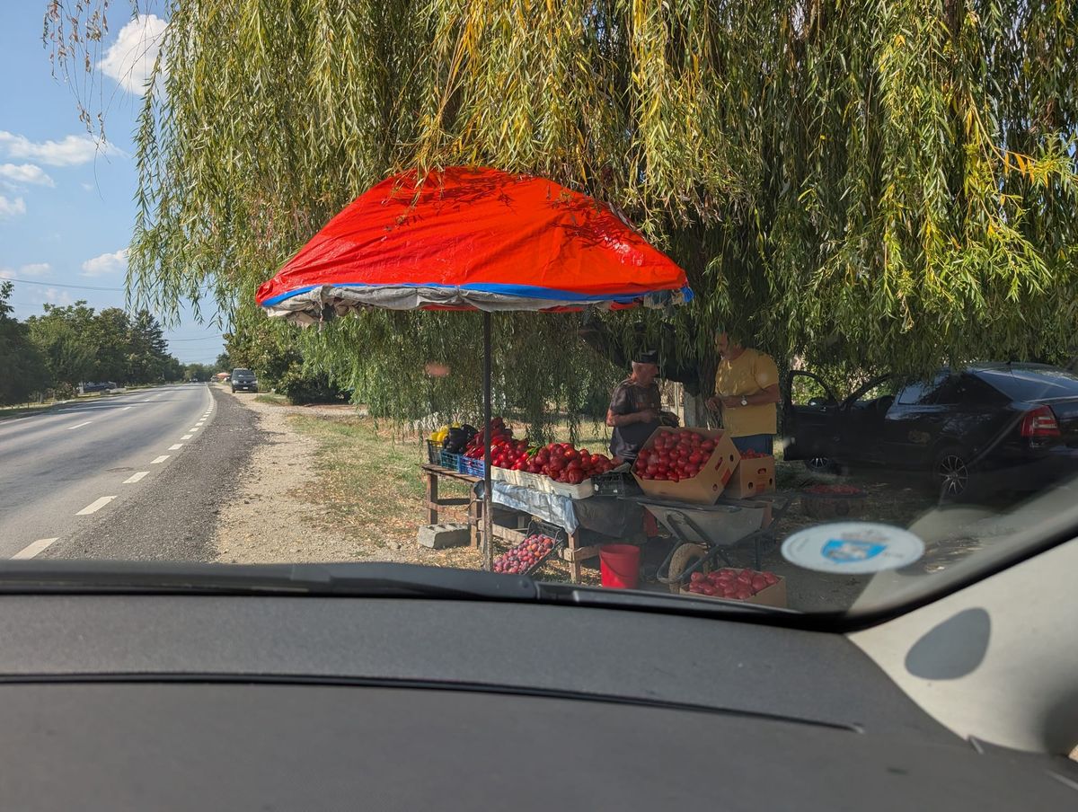 Zacuscă