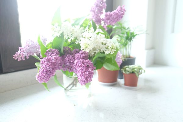 May gardens bloom
