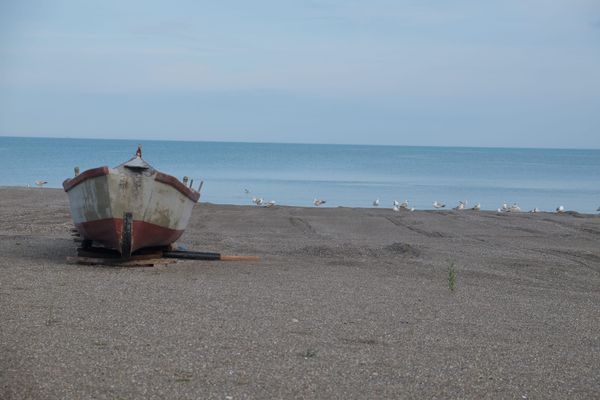 The Black Sea