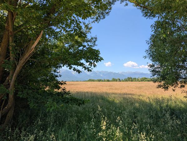 Village life - summer scenery