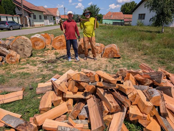 Guests, and the Great Firewood Enterprise