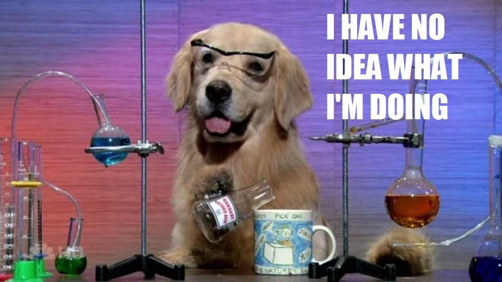 The "I Have No Idea What I'm Doing" meme with the dog pouring a solution from an Erlenmeyer flask into a coffee cup.