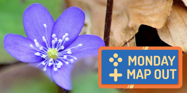 Monday Map Out - 03/02/2026