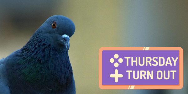 Thursday Turn Out - 03/05/2026