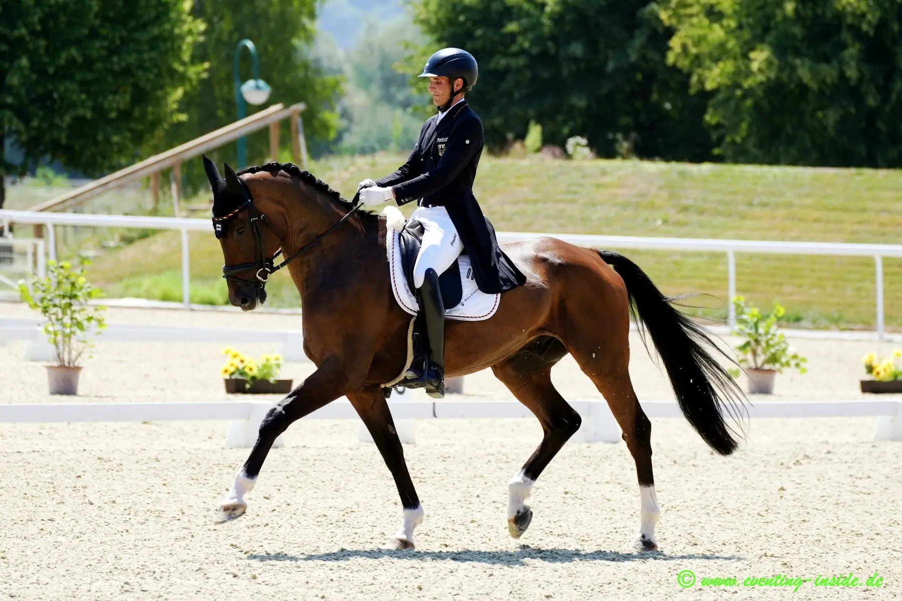 Christoph Wahler conduce a D'Accord FRH al trote durante la prueba de doma de la FEI Eventing Nations Cup en Avenches. Foto: eventing-inside.de