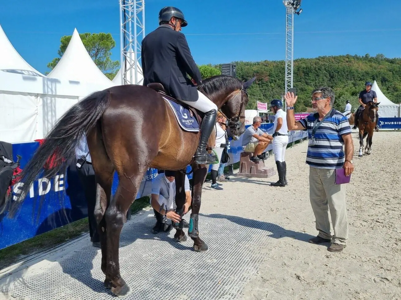 Veterinario inspecciona a un caballo antes de una competición ecuestre.
