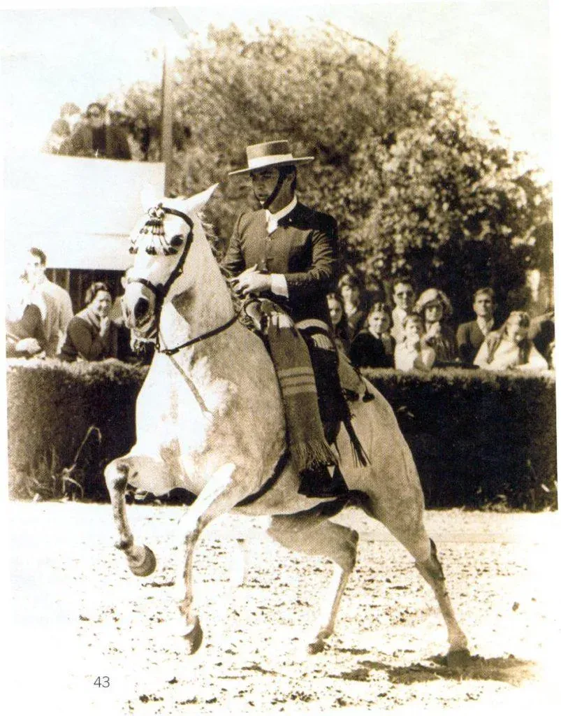 Joaquín Olivera Peña sobre la yegua Centenaria durante un Campeonato de España de Doma Vaquera.
