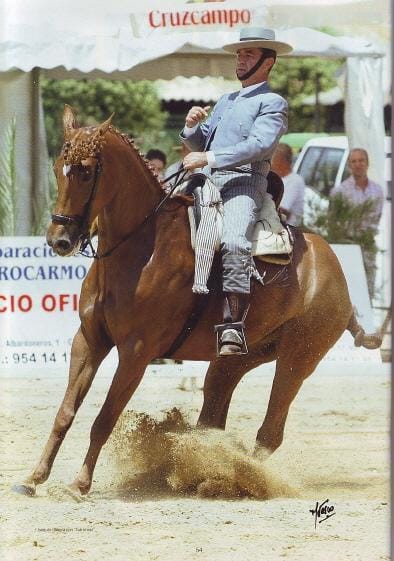 Joaquín Olivera Peña montando a Turronera durante una prueba de Doma Vaquera en España.