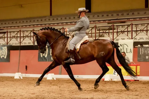 Sebastián López y Legendario Puli durante el Campeonato de España de Equitación de Trabajo 2026