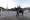 Max Kühner montando EIC Up Too Jacco Blue durante el Grand Prix del LGCT París 2026.
