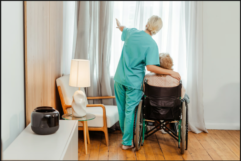A home health aide in teal scrubs points out a window while gently placing a hand on the shoulder of an elderly person in a wheelchair, providing support, companionship, and ensuring comfort and health safety.