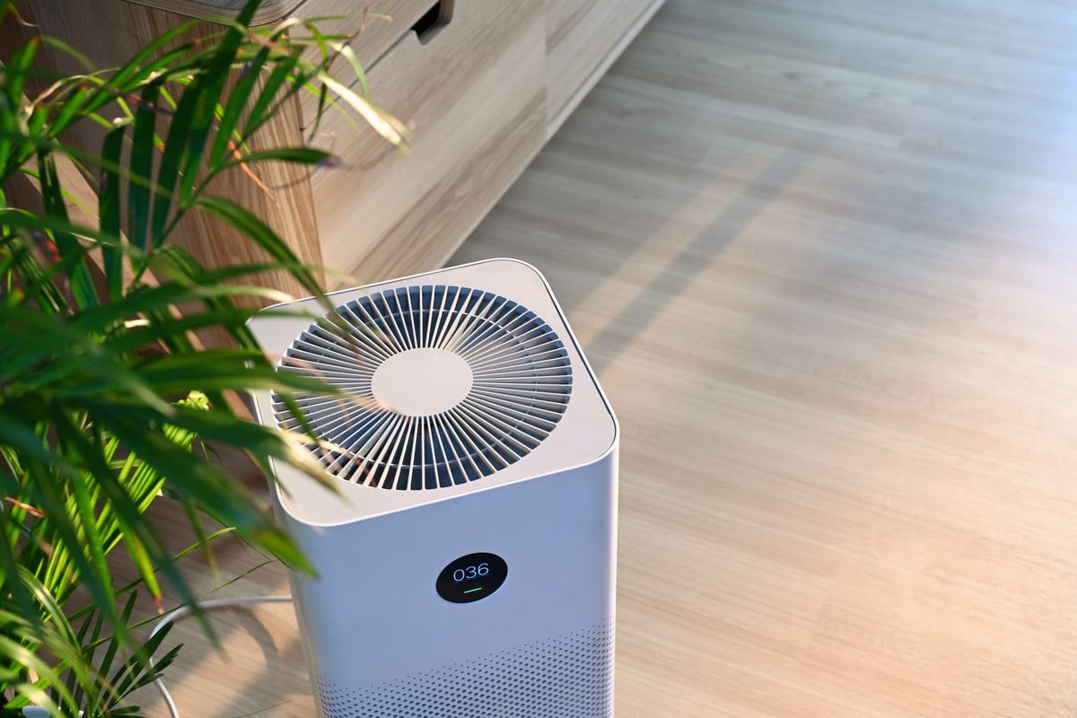 Dehumidification 101 for Coastal Maine Basements
