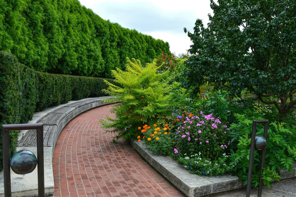 Outdoor Yard Plans That Avoid Drainage and Irrigation Regrets