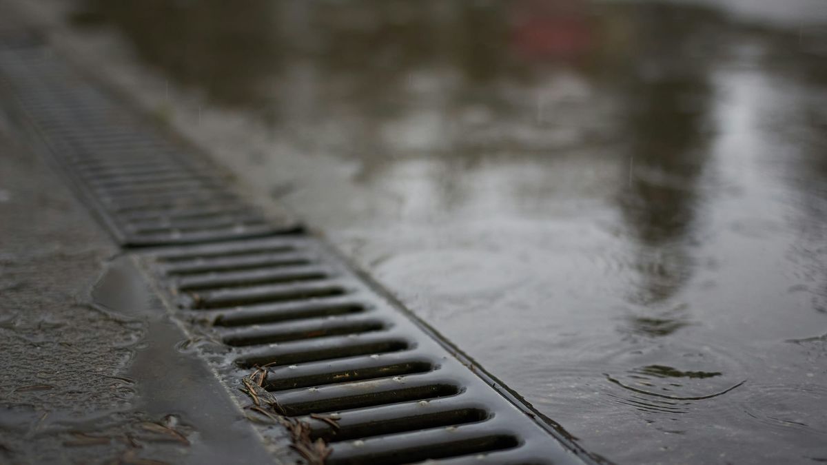 Yard Drainage and Pavers: A Scope That Holds Up