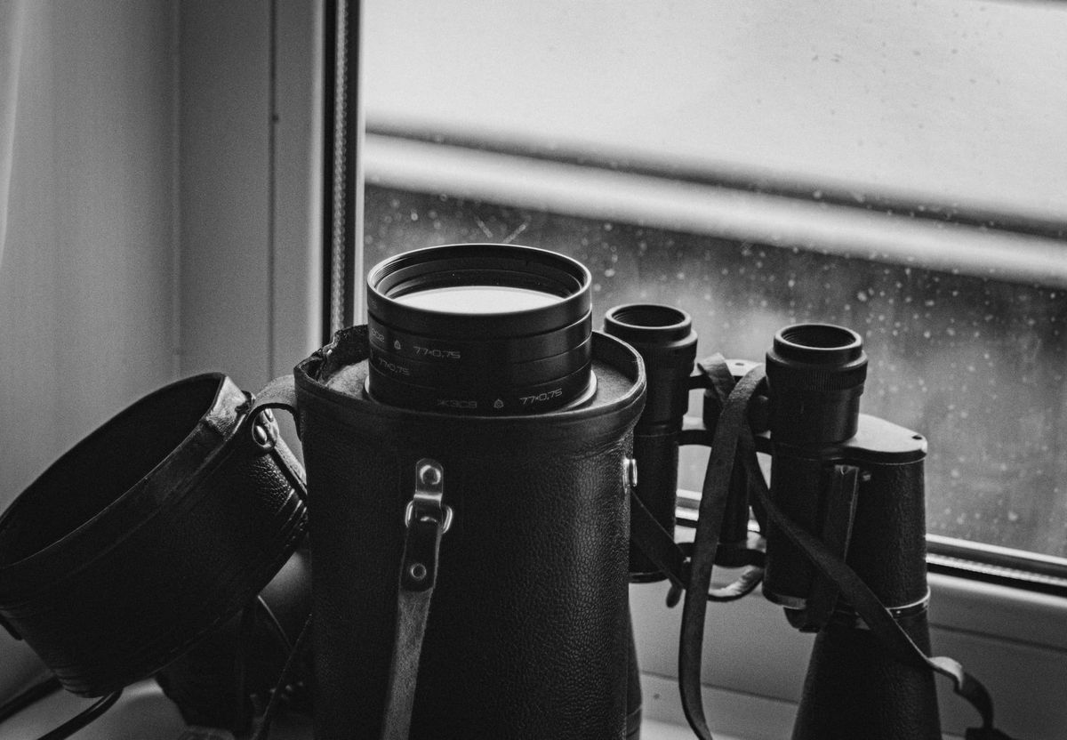 Home Window Film Choices for Los Angeles Sun